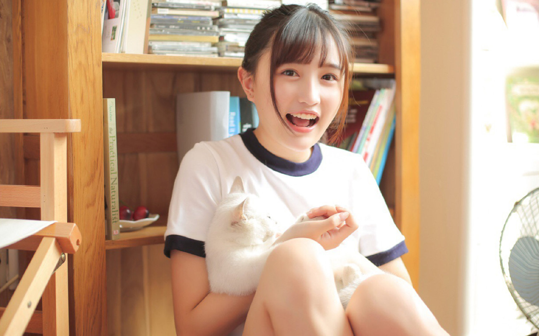 NBA计划增设季中锦标赛，2026年正式推行，nba季中赛什么意思