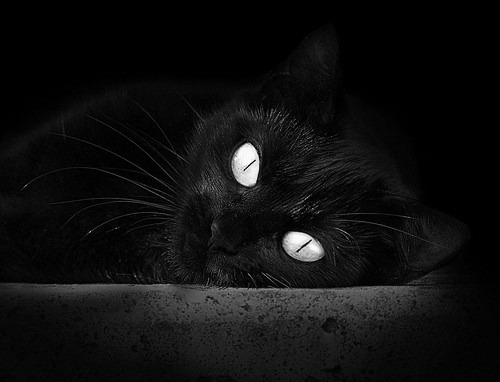 篮球文化节活动丰富多彩吸引群众，宣传篮球文化