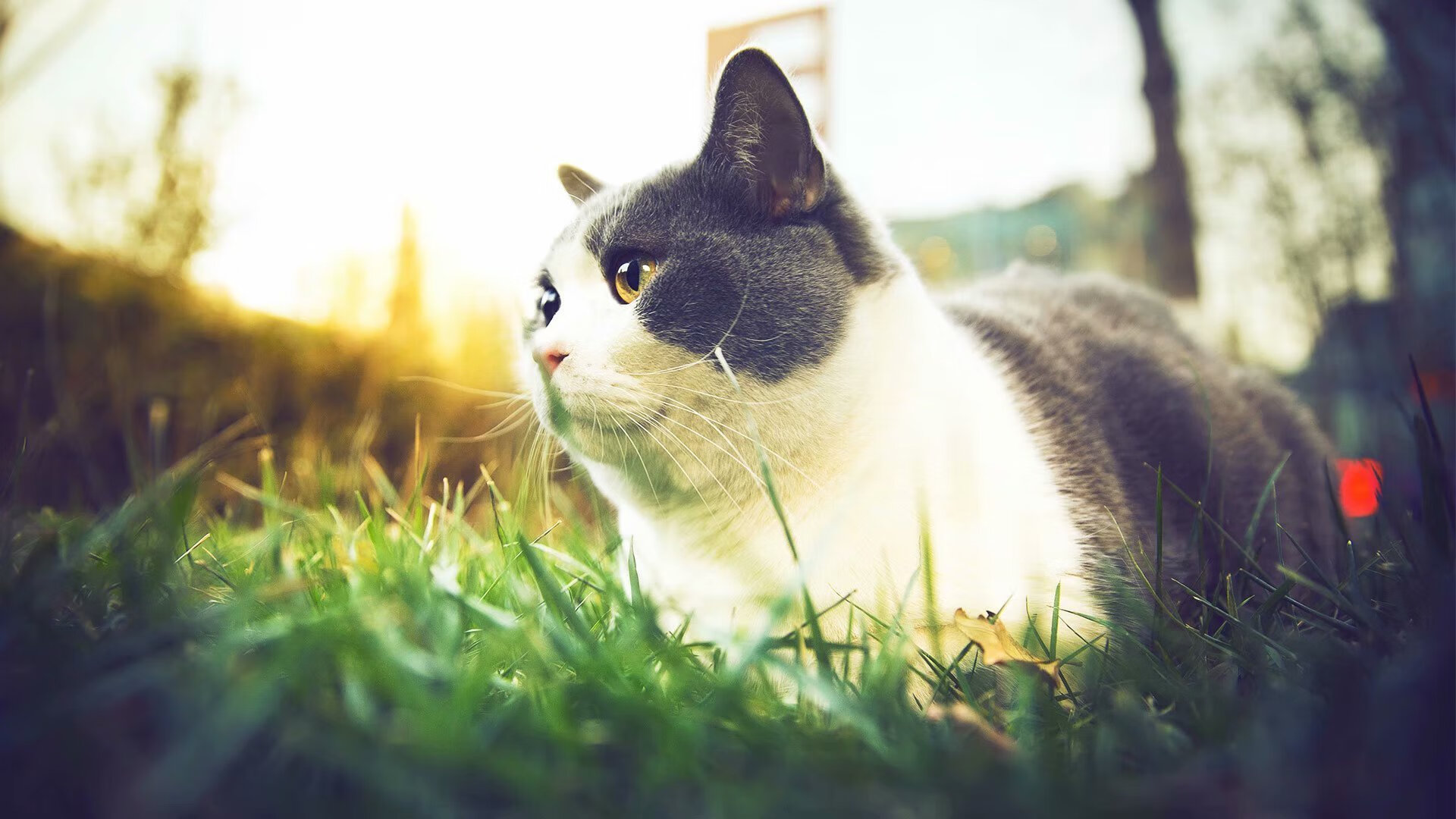 中甲联赛的俱乐部财务管理机制建设方案实施方案，俱乐部财务管理制度