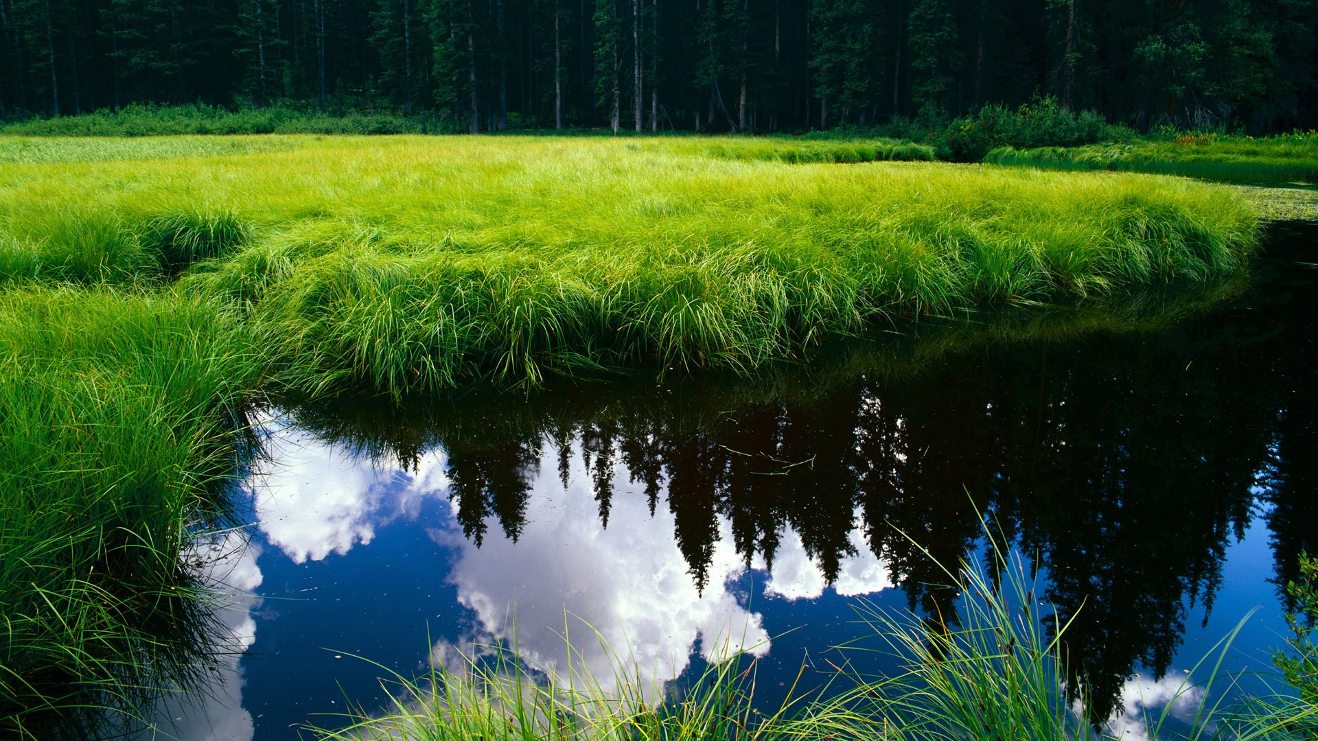非洲球队在最新比赛中表现出色,取得胜利,非洲联赛