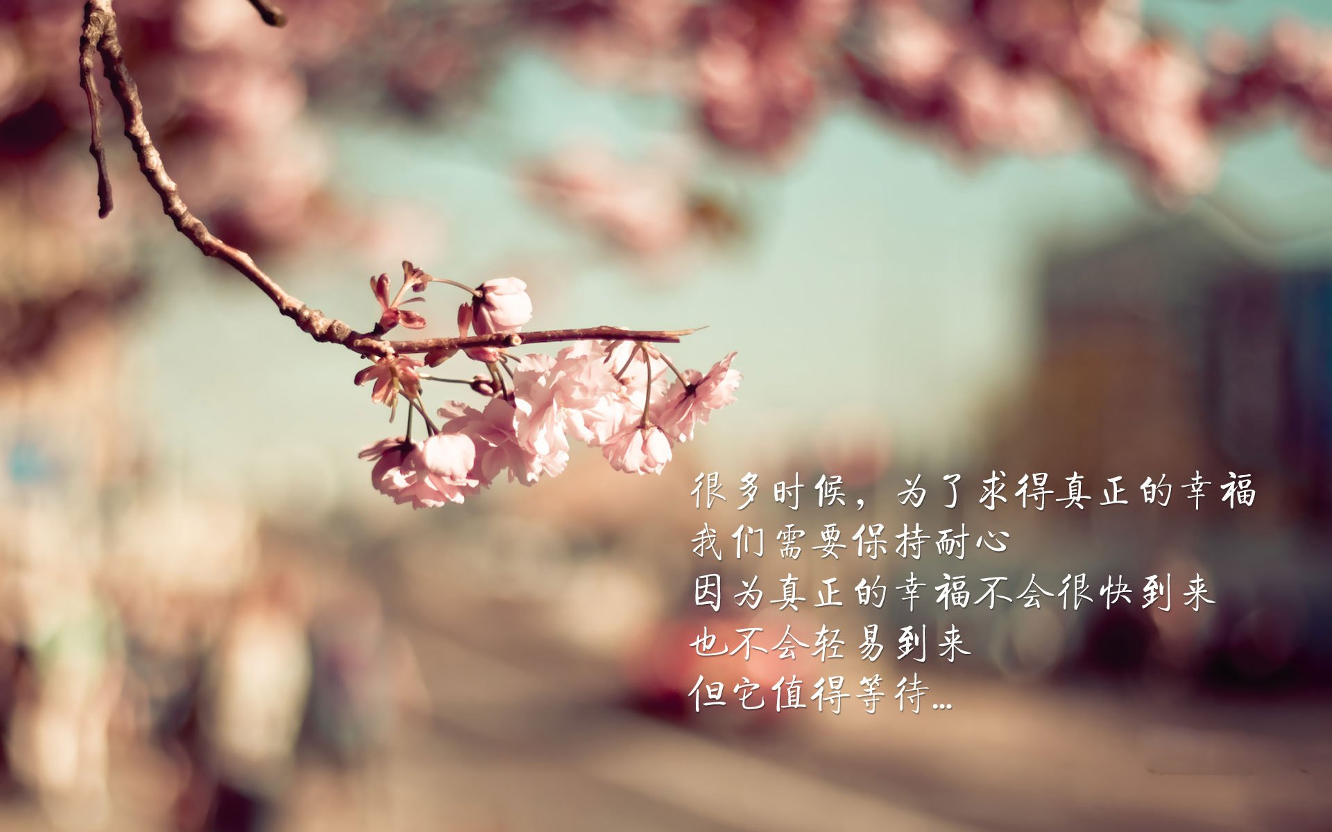 中国篮球青少年篮球运动员技术动作动作捕捉分析,中国青少年篮球训练指导手册