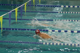 全国青少年游泳锦标赛涌现多位新星，2021年青少年游泳锦标赛