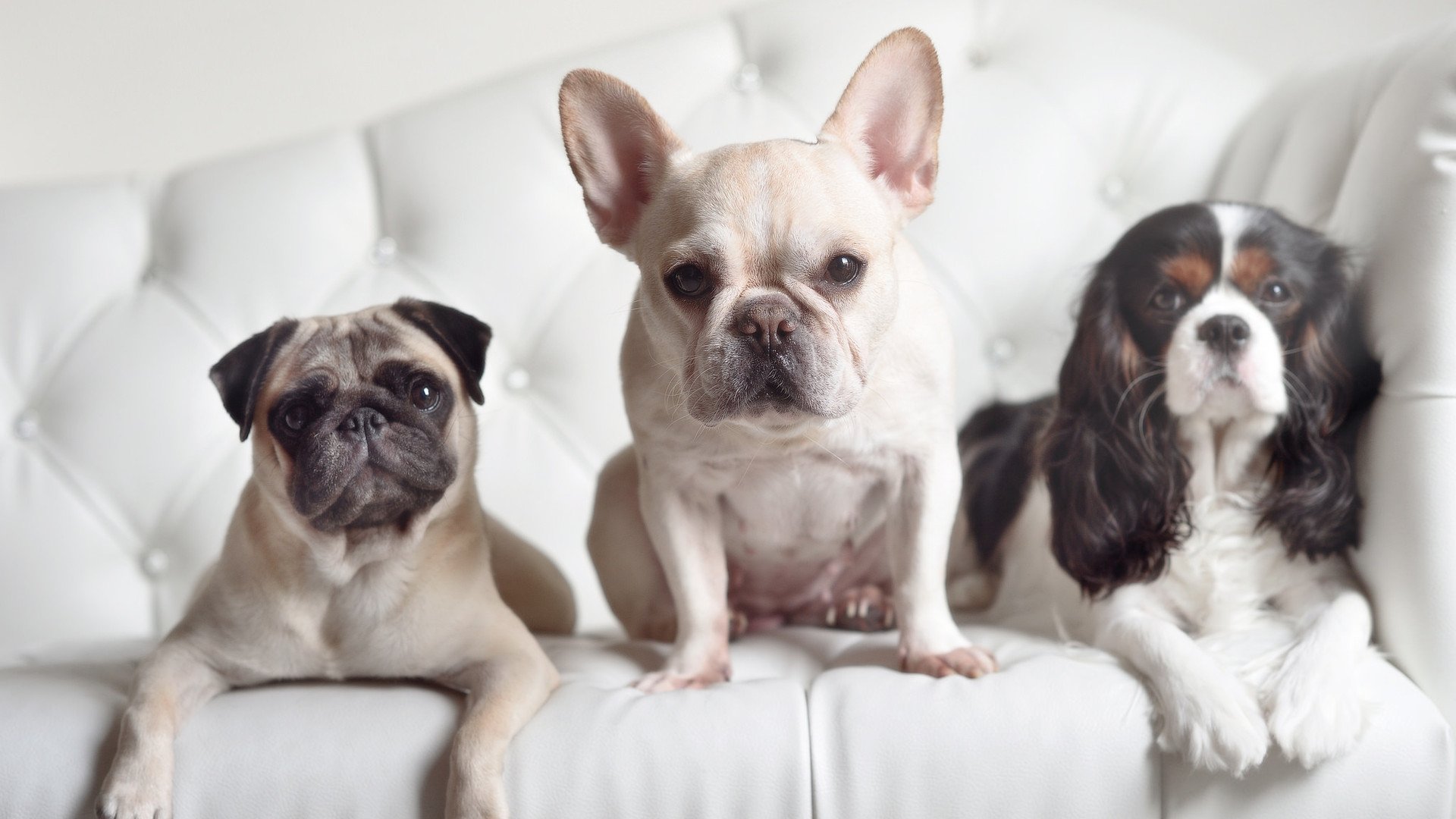 法甲球队年轻球员转会价值快速提升逻辑解读,法甲转会一览2021