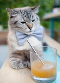 国际乒联混合团体世界杯:澳大利亚队如何迎接挑战和突破,国际乒联世界巡回赛澳大利亚公开赛