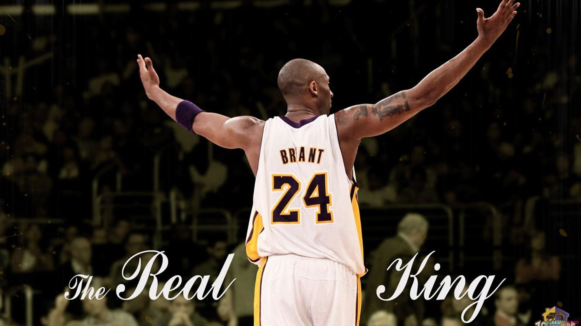 电子竞技产业发展论坛聚焦未成年人保护，电子竞技青少年