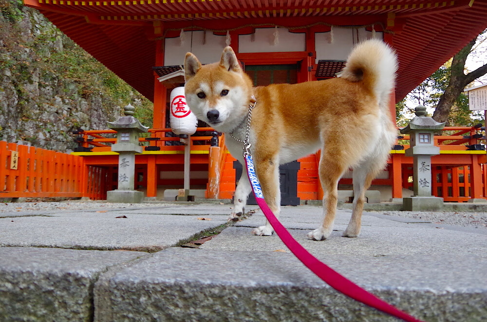 青训体系未能因材施教体现个体差异，青训体系未能因材施教体现个体差异吗