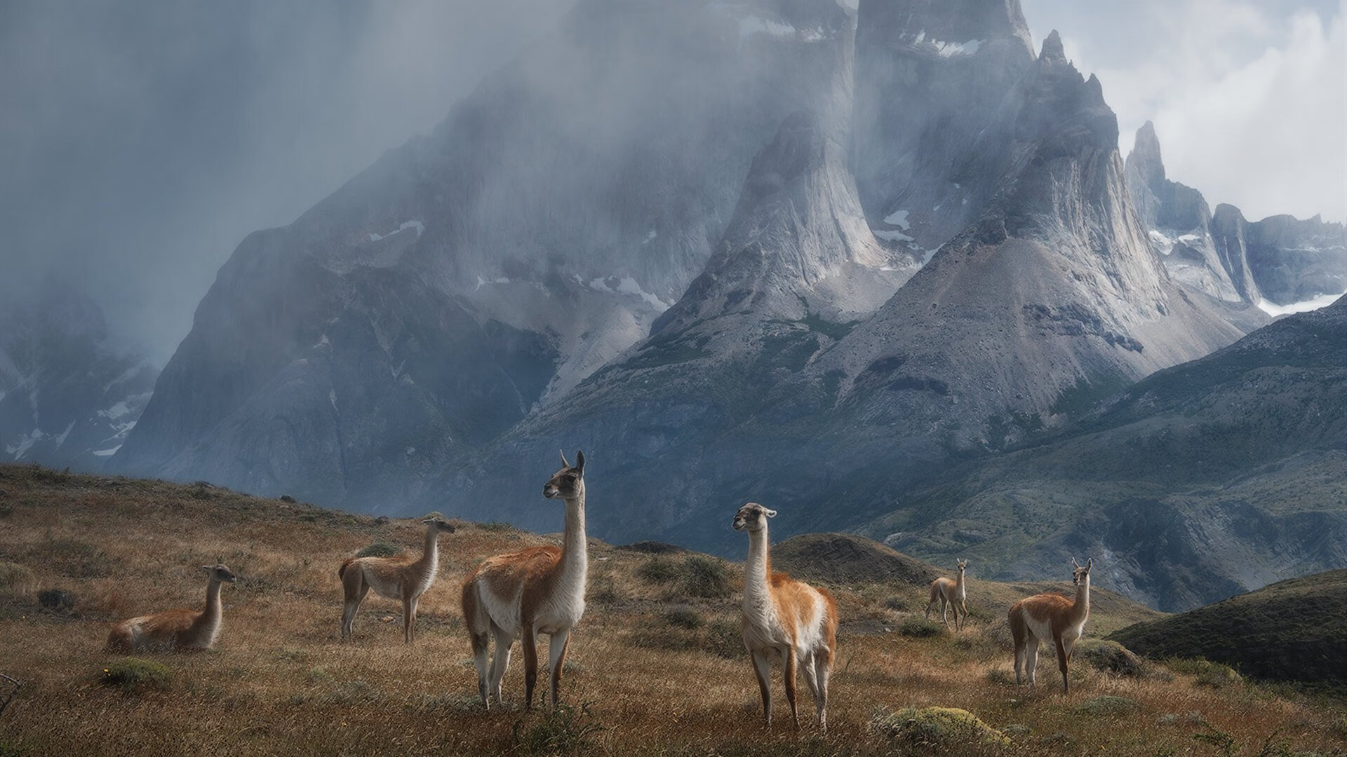 巴雷特：全黑队的“全能型进攻者”，每一场比赛都有精彩表现