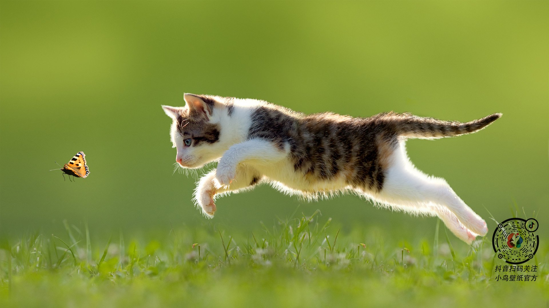 朱婷比赛中多次关键起跳救球成功，朱婷起跳扣球最高的是哪一场