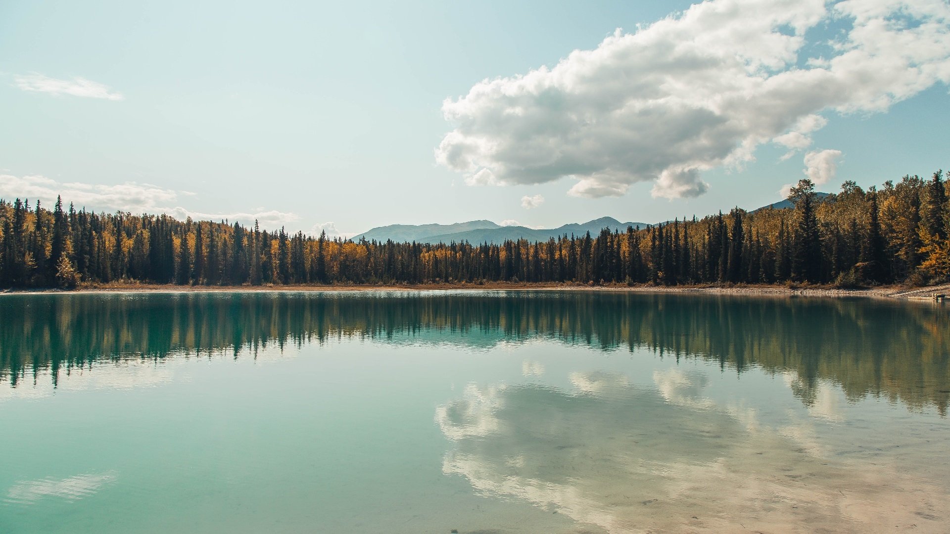 林丹推广课上亲自为小选手做热身，林丹训练视频
