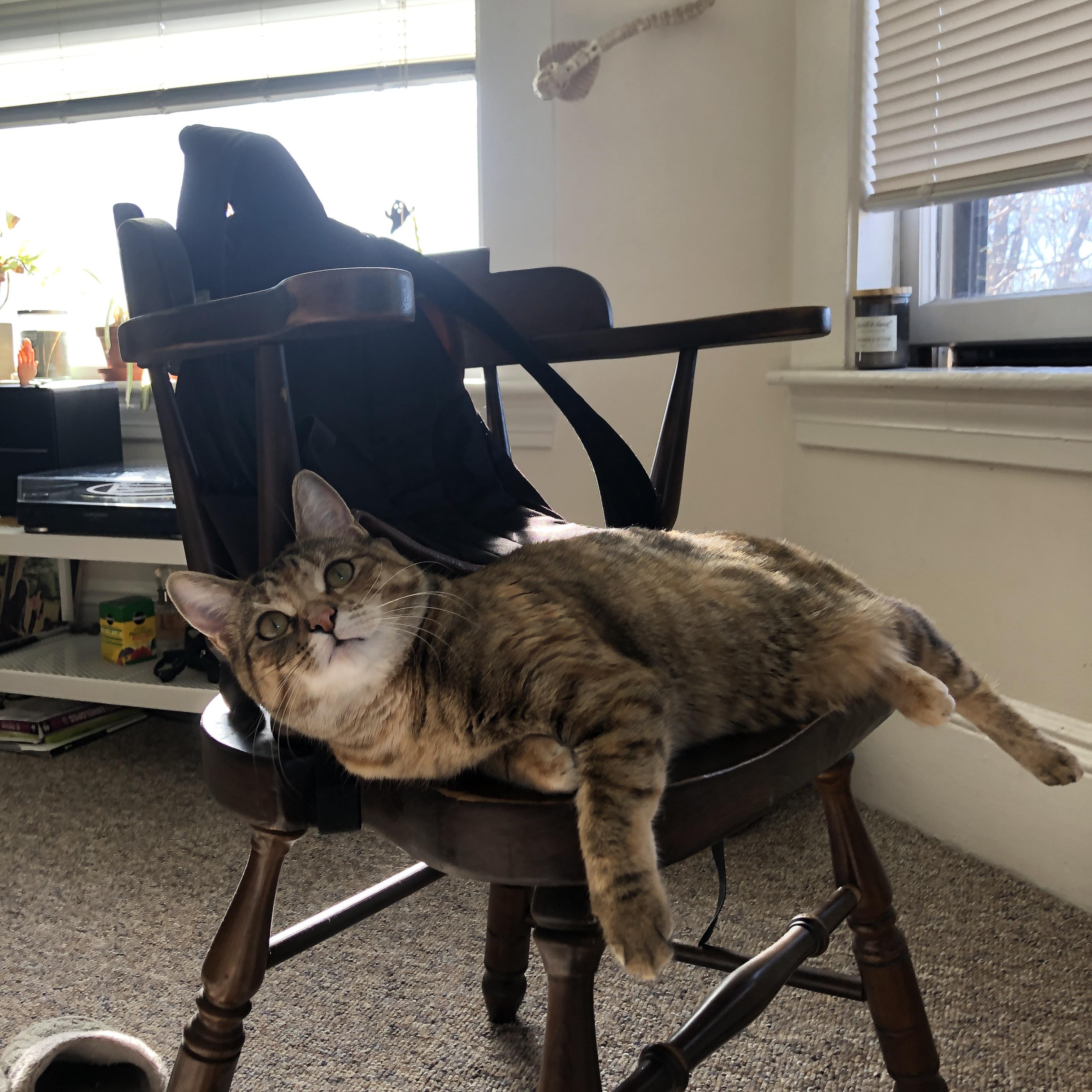 水球对抗中希腊反击战术清晰，奥运会希腊水球